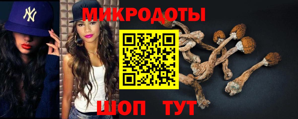 Псилоцибиновые грибы мицелий  Вход с VPN  Когалым 