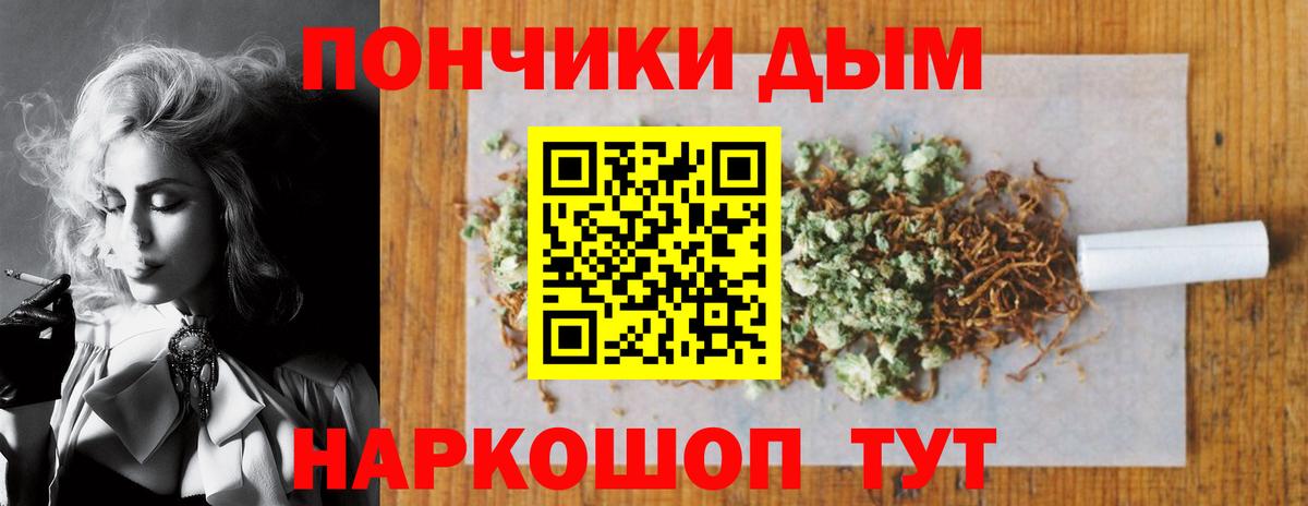 Каннабис сатива Когалым